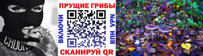 дарнет шоп  Инсар  Псилоцибиновые грибы Psilocybine cubensis 
